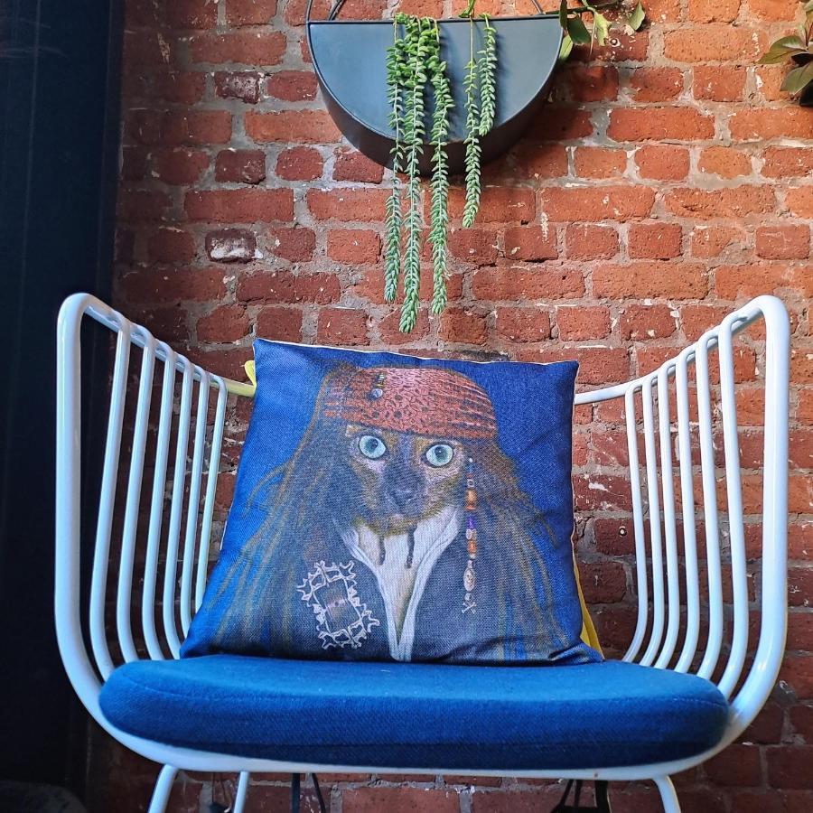 Pet-Friendly City Loft Apartment Cape Town Exterior foto